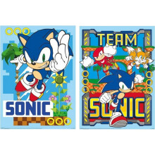 Sonic The Hedgehog Poster (Pack of 2)