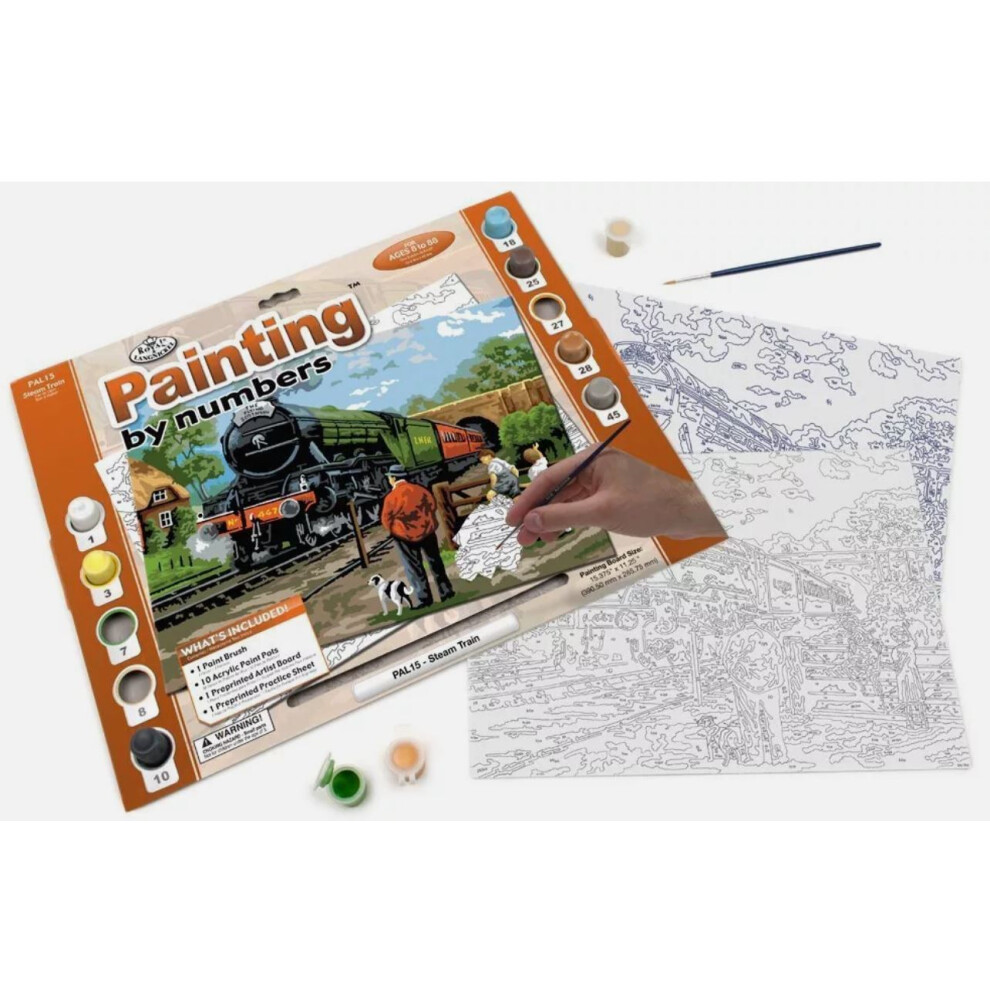 Steam Train Paint by Numbers Kit With Acrylic Paint & Brush
