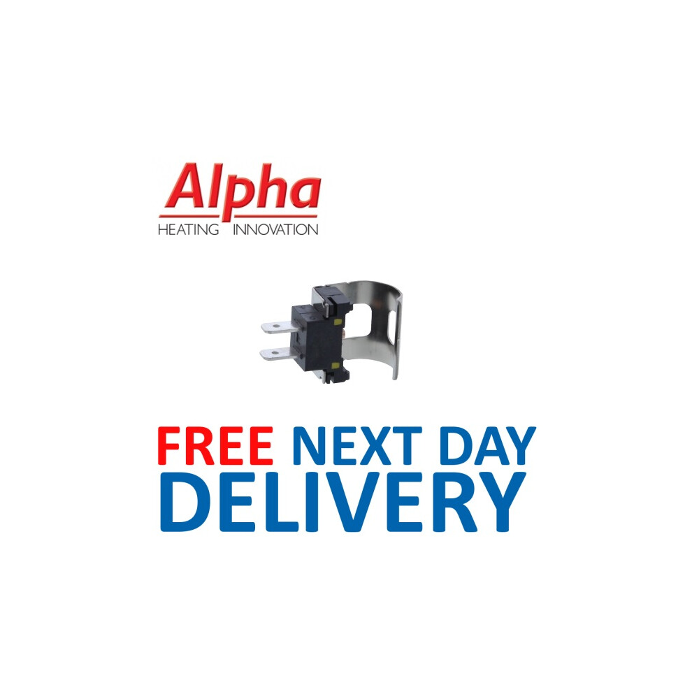 Alpha Intec/Eco 2 DHW Temperature NTC Probe Sensor 1.028395 1.025380