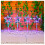 4-Pack Star Xmas Pathway Lights Stake Outdoor 40 LED Multi-Color 5