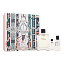 Hermes - Terre DHermes Gift Set EDT 100 ml, After Shave Terre DHermes 40 ml and miniature Terre DHermes EDT 12,5 ml 100ml