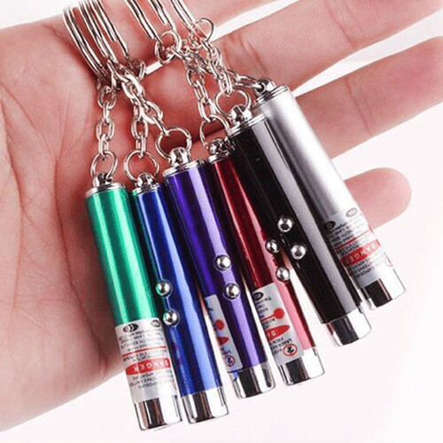 Mini Cat Toy Laser Pointer Keychain Flashlight Funny Dog Stick 2
