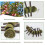 Chewing Toys Natural Apple Sticks Apple Tree Branches Chewing Teeth Toys 2