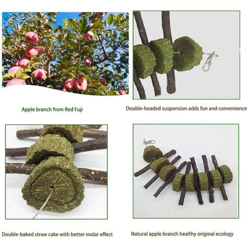 Chewing Toys Natural Apple Sticks Apple Tree Branches Chewing Teeth Toys 1