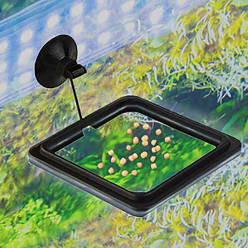 Beaphar 2 Pcs Fish Feeding Ring, Fish Safe Floating Food Feeder Circle ,Black 2