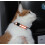 6Pcs Reflective Cat Collar With Bell Solid & Safe Collars For Cats 2