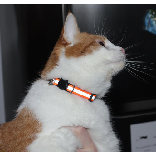 6Pcs Reflective Cat Collar With Bell Solid & Safe Collars For Cats 1