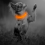 Rechargeable Led Dog Collar Adjustable Reflective Collar 4