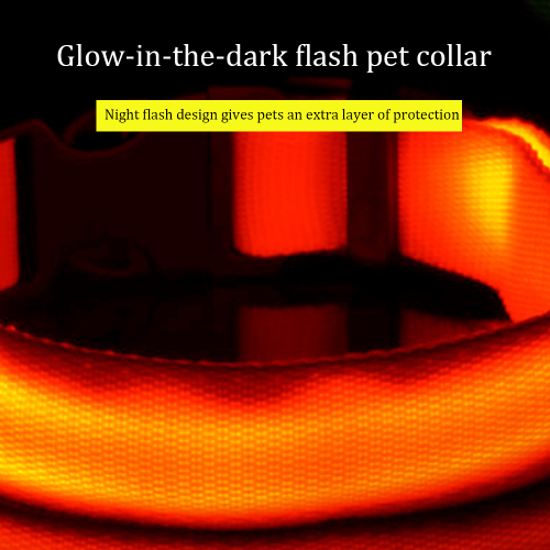Rechargeable Led Dog Collar Adjustable Reflective Collar 2
