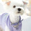 Leather Collar - Cute Adjustable Collar For Small And Medium Dogs 3
