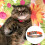 Adjustable Leather Cat Collar With Buckle For Small Animals 3
