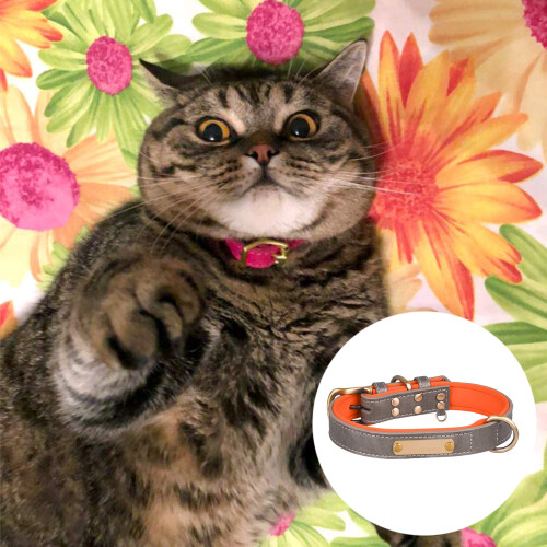 Adjustable Leather Cat Collar With Buckle For Small Animals 2