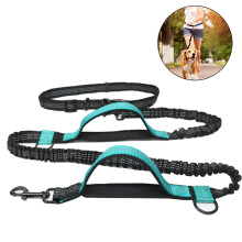 Water Green Hands-Free Dog Leash with Double Bungees and Two Handles, Adjustable Waist Belt and 260 cm Extendable Lead for Dogs up to 50 kg