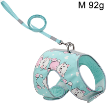 Kitten Harness And Leash,Adjustable Kitten Walking Jackets Kitten Vest-Fruit Green Love Catm Insertion Buckle