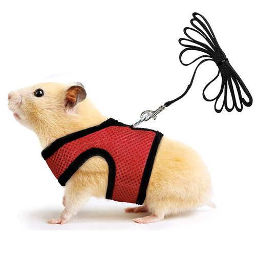 Small Pet Harness Bell, No Pull Comfort Padded Vest Durable Nylon-Reds 2