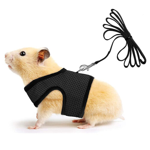 Small Pet Harness Bell, No Pull Comfort Padded Vest Durable Nylon-Blackm 2