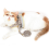 Escape Proof Cat Harness And Leash, Breathable Adjustable Chest Strap-Khakis 4