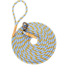 Long Dog Training Leash 15-Foot Off-Leash Dog Reminder