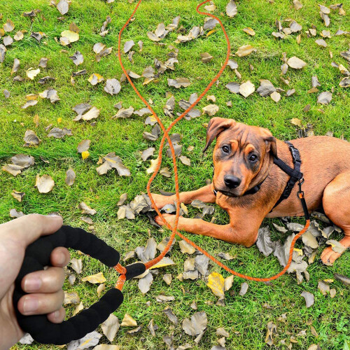 Long Dog Training Leash With Reflective Nylon Leg Camping Leash 2