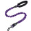 Reflective Stretch Dog Leash Elastic Dog Training Leash?Purple? 1