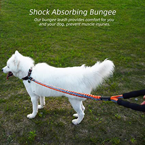 Reflective Stretch Dog Leash Elastic Dog Training Leash?Purple? 2