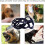 Stellar Dog Muzzle, Soft Basket Silicone Dog Muzzle, Preventing Biting Chewing And Barking, Allowing Drinking - Issue 1 2