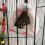 Warm Hamster Bed Hammock For Sleeping Cute Little Animalspink 3
