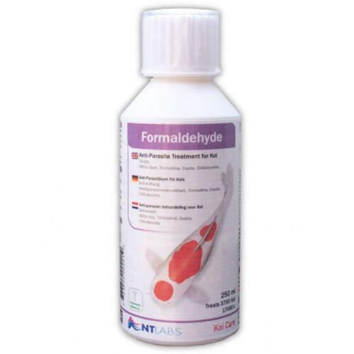 (250ML) NT LABS KOI CARE FORMALDEHYDE
