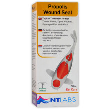 NT Labs Propolis Koi Carp Open Damaged Wound Scales Skin Sealing Cleaning Pond