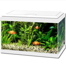(White, 20) Ciano Aqua 20 and 30 Classic Aquarium White/Black with Filter Beginner Fish Tank