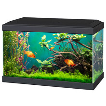 (Black, 20) Ciano Aqua 20 and 30 Classic Aquarium White/Black with Filter Beginner Fish Tank
