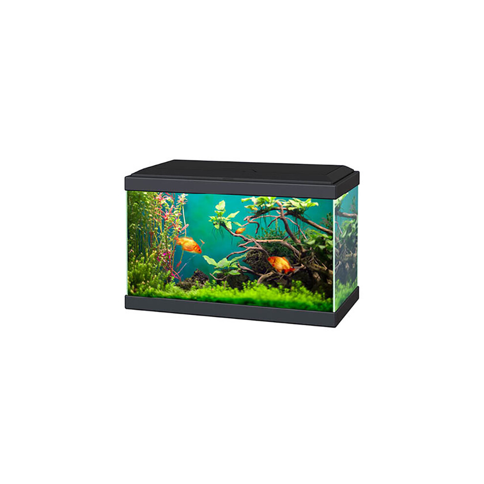 Aqua 20 Classic Aquarium 17L Fish Tank