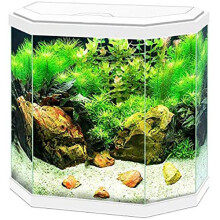 (White, 30) Ciano Aqua 20 and 30 Classic Aquarium White/Black with Filter Beginner Fish Tank