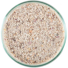 CaribSea Seaflor Special Sand Marine Reef Substrate Aragonite Aquarium Fish Tank 40lb