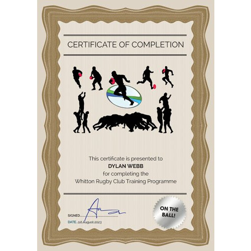 Computer Craft A4 Certificate Paper 90gsm Bronze Pack 30