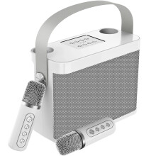 Machine de karaoké pour adultes/enfants 3000 mAh, enceinte Bluetooth portable avec 2 microphones sans fil et système de sonorisation