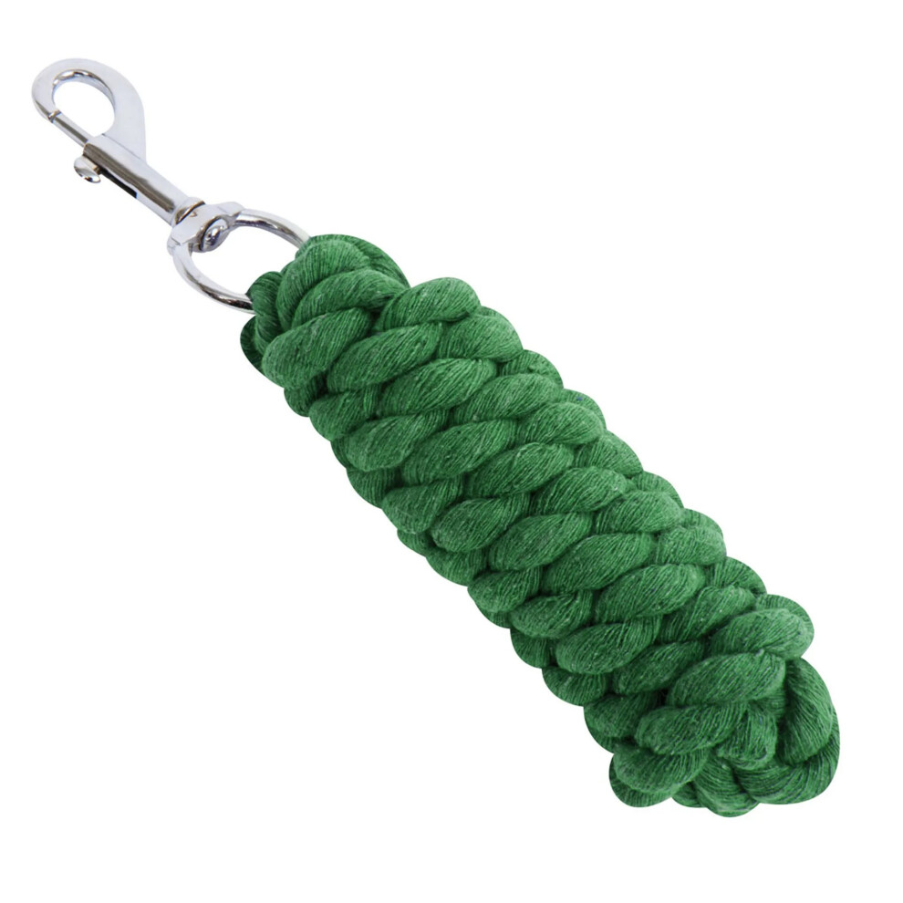 (2m, Green) Roma Twisted Dog Lead