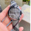 Burberry BURBERRY BU9118 WOMEN'S WATCH BROWN STRAP BROWN DIAL SILVER CASE 5