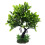 Swell Light Green Olive Tree Artificial Plant Aquarium Décor 1
