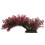 Swell Red Trailing Leaves Artificial Plant - Large Aquarium Décor 1