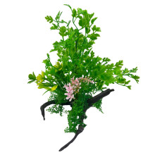 Swell Coriander Combination On Dead Wood Artificial Plant Aquarium Décor