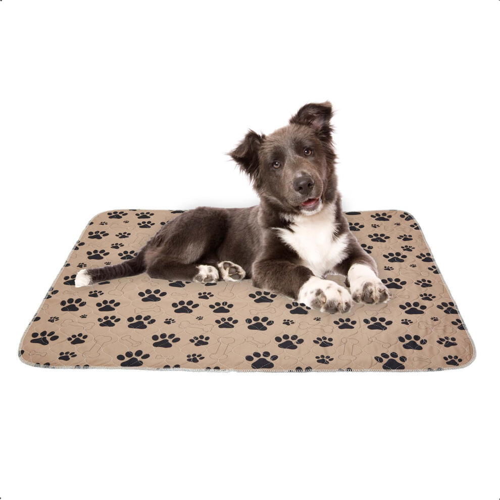 (Tan) Drylife Washable Puppy Training Pad - 80cm x 90cm