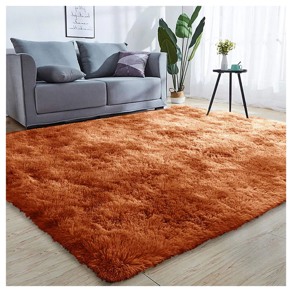 (Rust/Orange, 120 x 170 cm) Non-Slip Runner Rugs Bedroom Living Room Door Mats