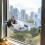 (30 x 45cm) Cordless Folding Cat Window Perch Cats Hammock 4