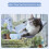 (30 x 45cm) Cordless Folding Cat Window Perch Cats Hammock 6
