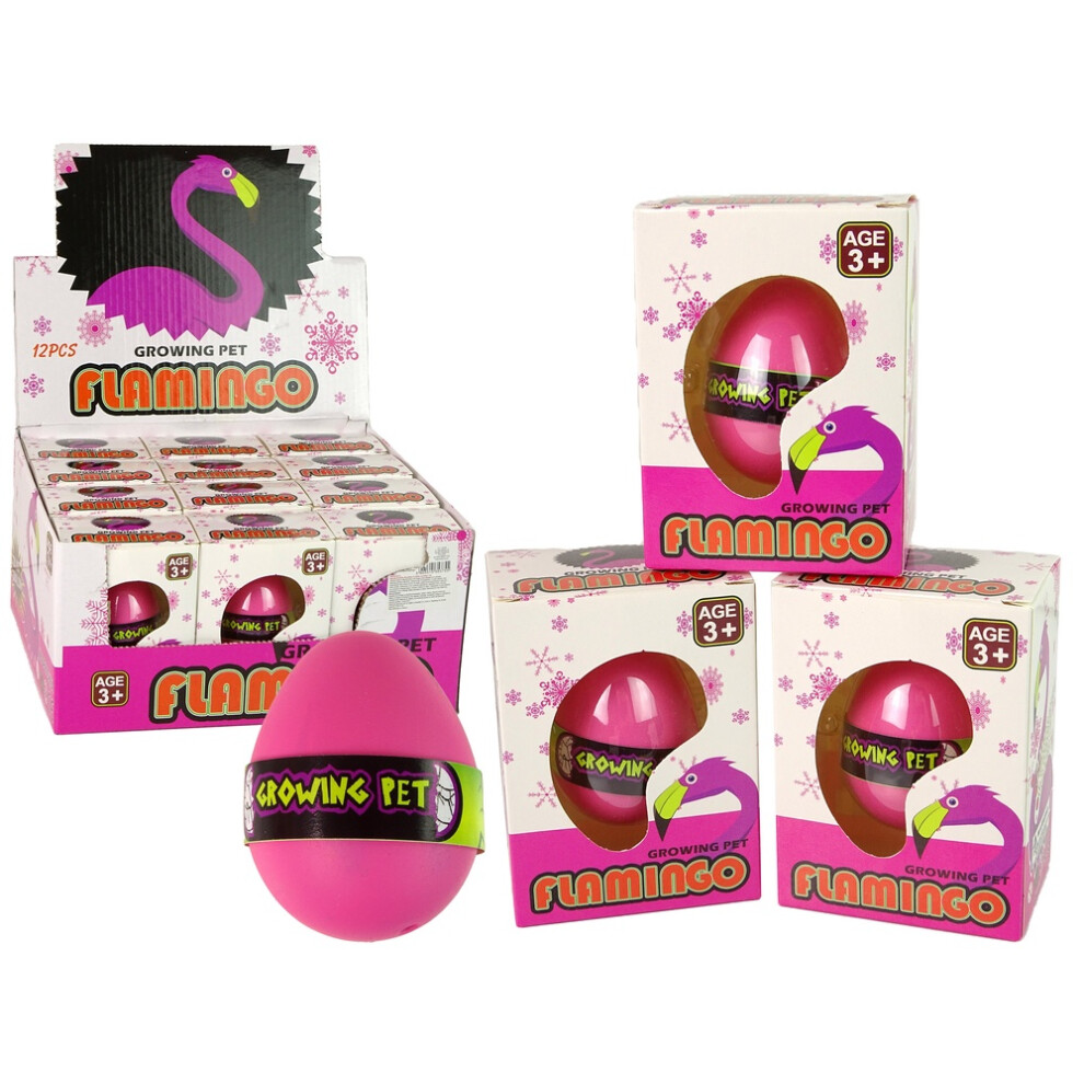 Pink Flamingo Egg: Watch It Hatch and Grow!