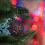 Christbaumkugeln im 150er-Set 2