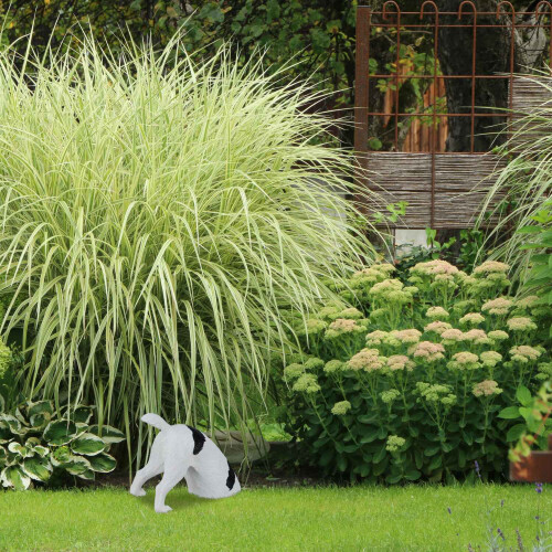 Havefigur gravende hund 1