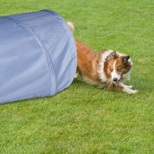 Hundetunnel Agility 2m 1