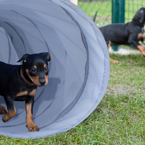 Hundetunnel Agility 2m 2